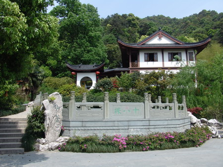 Dragon Well Tea Garden