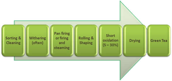 Green Tea Process