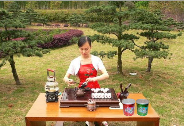 Tea Show in Tea Garden