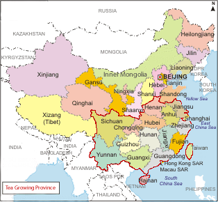 Tea Road Map in China